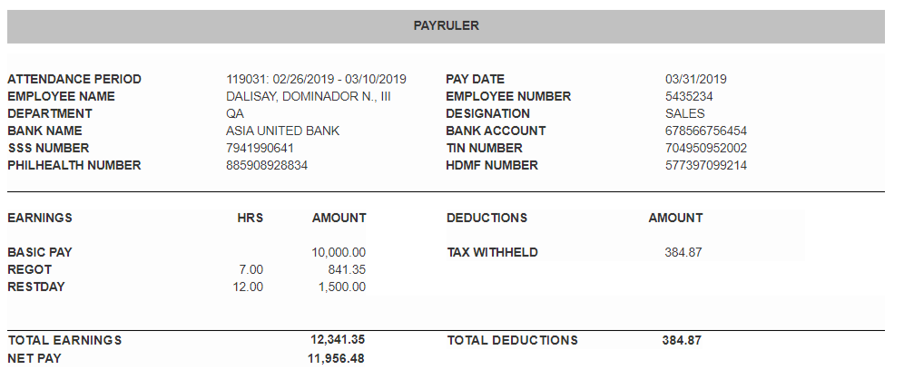 View your Payslip – Payruler Support